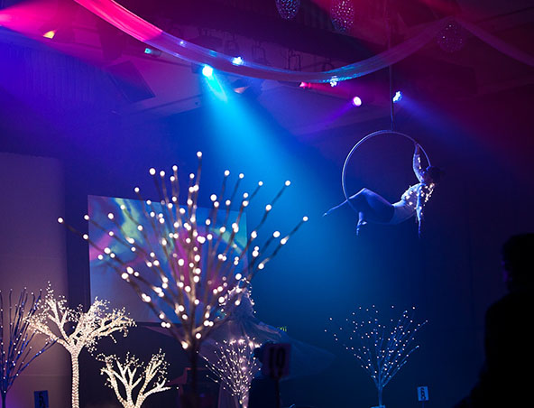 Aerialists Brisbane - Trapeze Artists - Aerial Entertainment