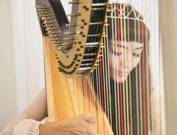 Brisbane Harpist - Wedding Harp - Musicians